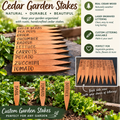 Cedar Garden Stakes – product infographic showing features and laser engraved lettering